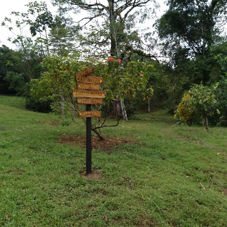 Finca Sueno De Osa Puerto Jimenez Bagian luar foto