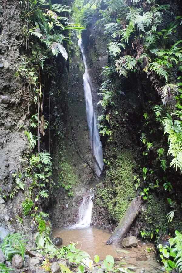 Finca Sueno De Osa Puerto Jimenez Bagian luar foto
