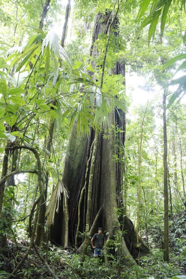 Finca Sueno De Osa Puerto Jimenez Bagian luar foto