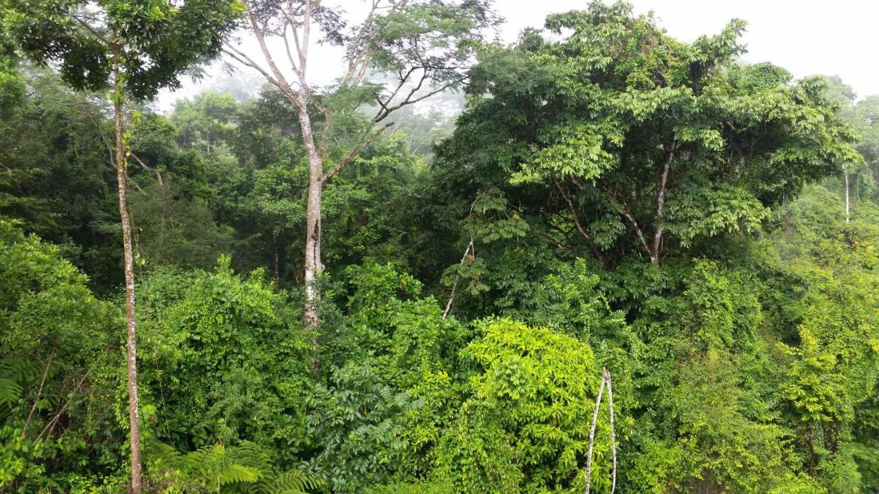 Finca Sueno De Osa Puerto Jimenez Bagian luar foto