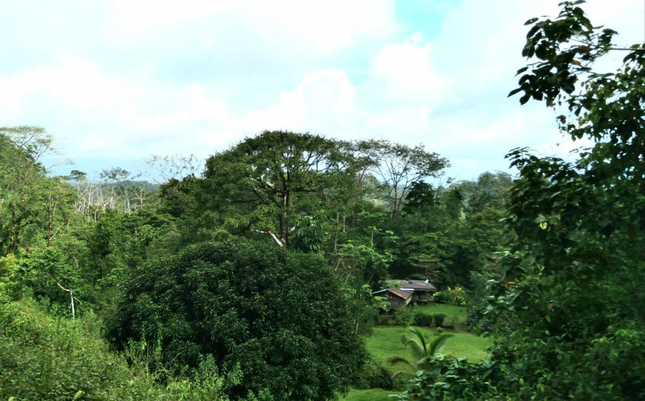 Finca Sueno De Osa Puerto Jimenez Bagian luar foto