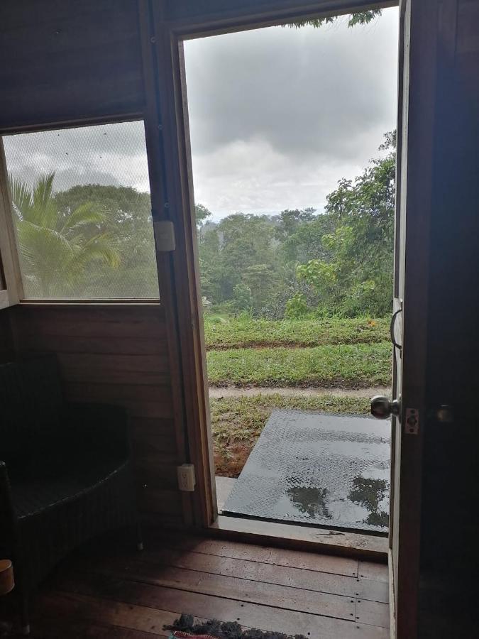 Finca Sueno De Osa Puerto Jimenez Bagian luar foto