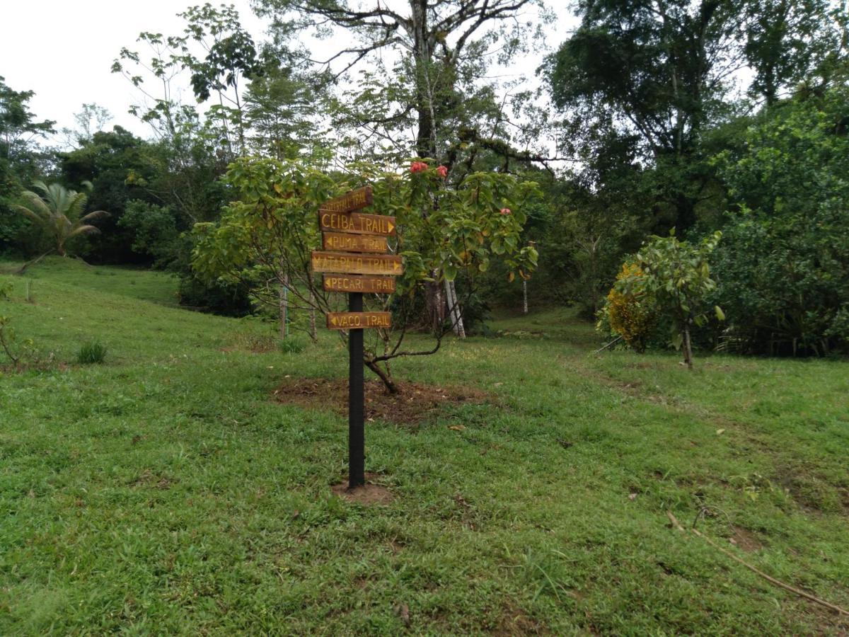 Finca Sueno De Osa Puerto Jimenez Bagian luar foto