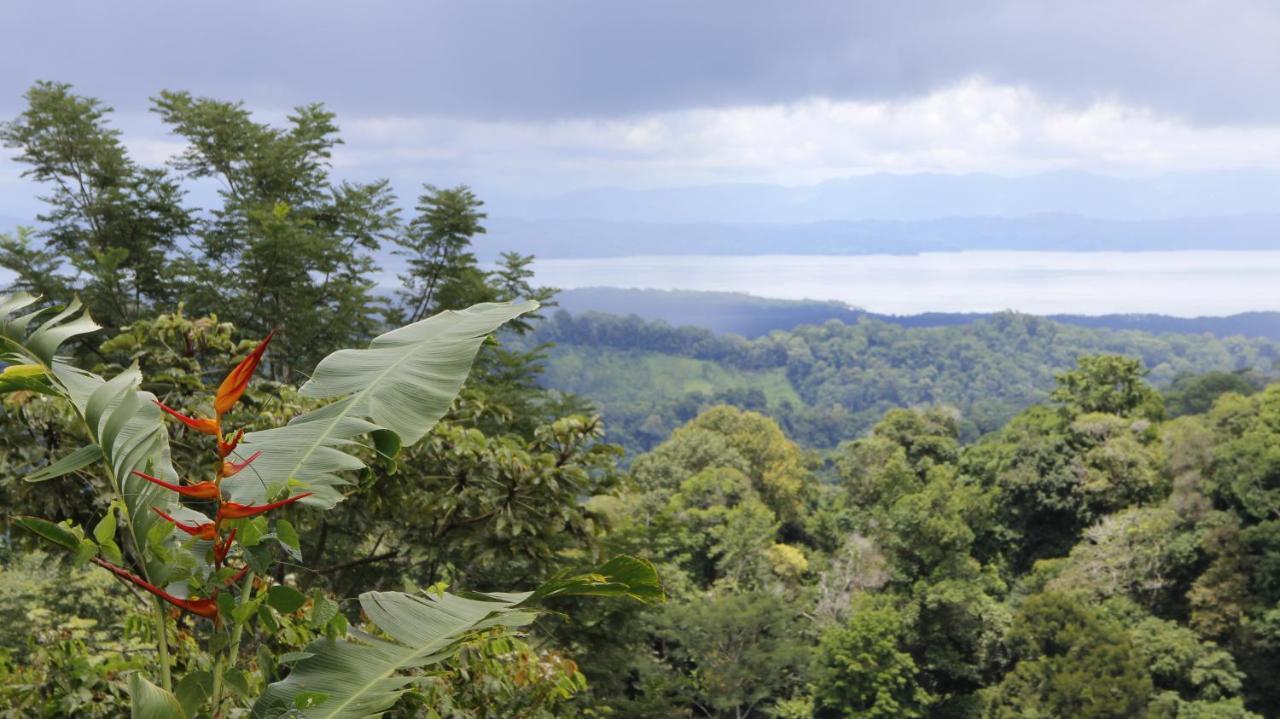 Finca Sueno De Osa Puerto Jimenez Bagian luar foto