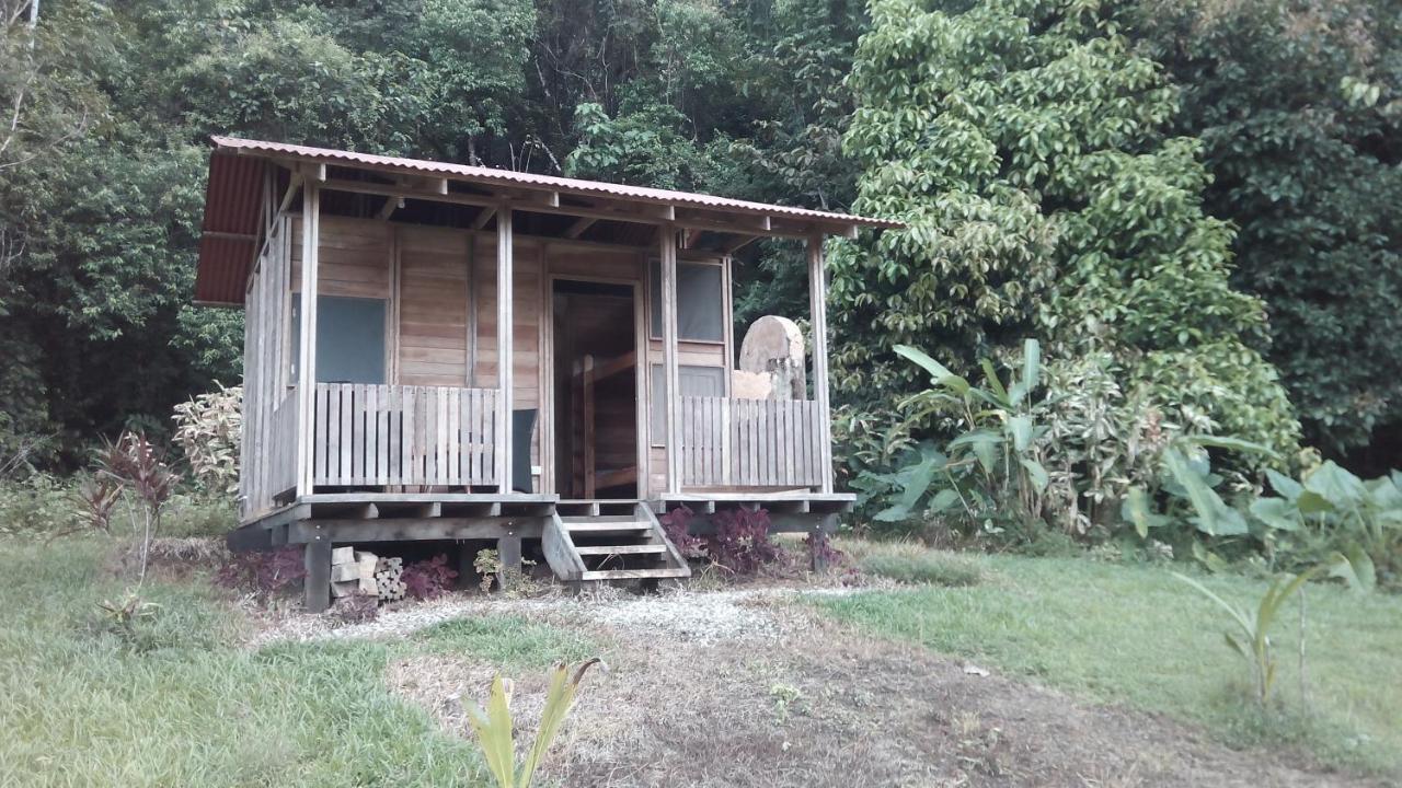 Finca Sueno De Osa Puerto Jimenez Bagian luar foto